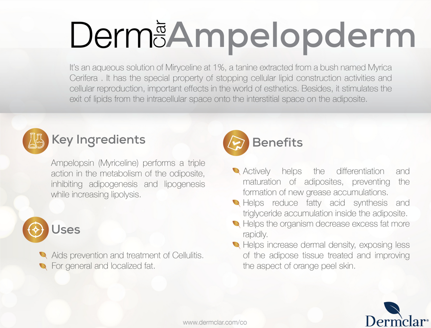 Body Serum Dermclar Ampelopderm